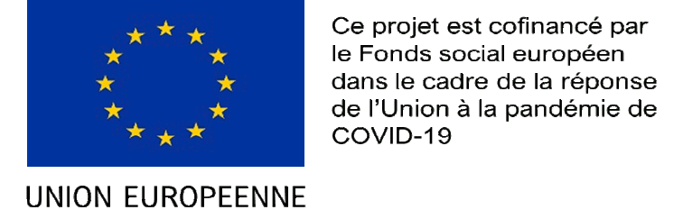 logo FSE 2015 complet action